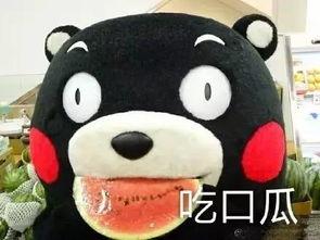 免费吃瓜歌曲在线听,跟着免费吃瓜歌曲在线听瓜不停  第1张